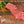 Load image into Gallery viewer, Grain Steak Sampler