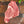 Load image into Gallery viewer, Wagyu Steak Sampler
