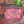 Load image into Gallery viewer, Sirloin Tip